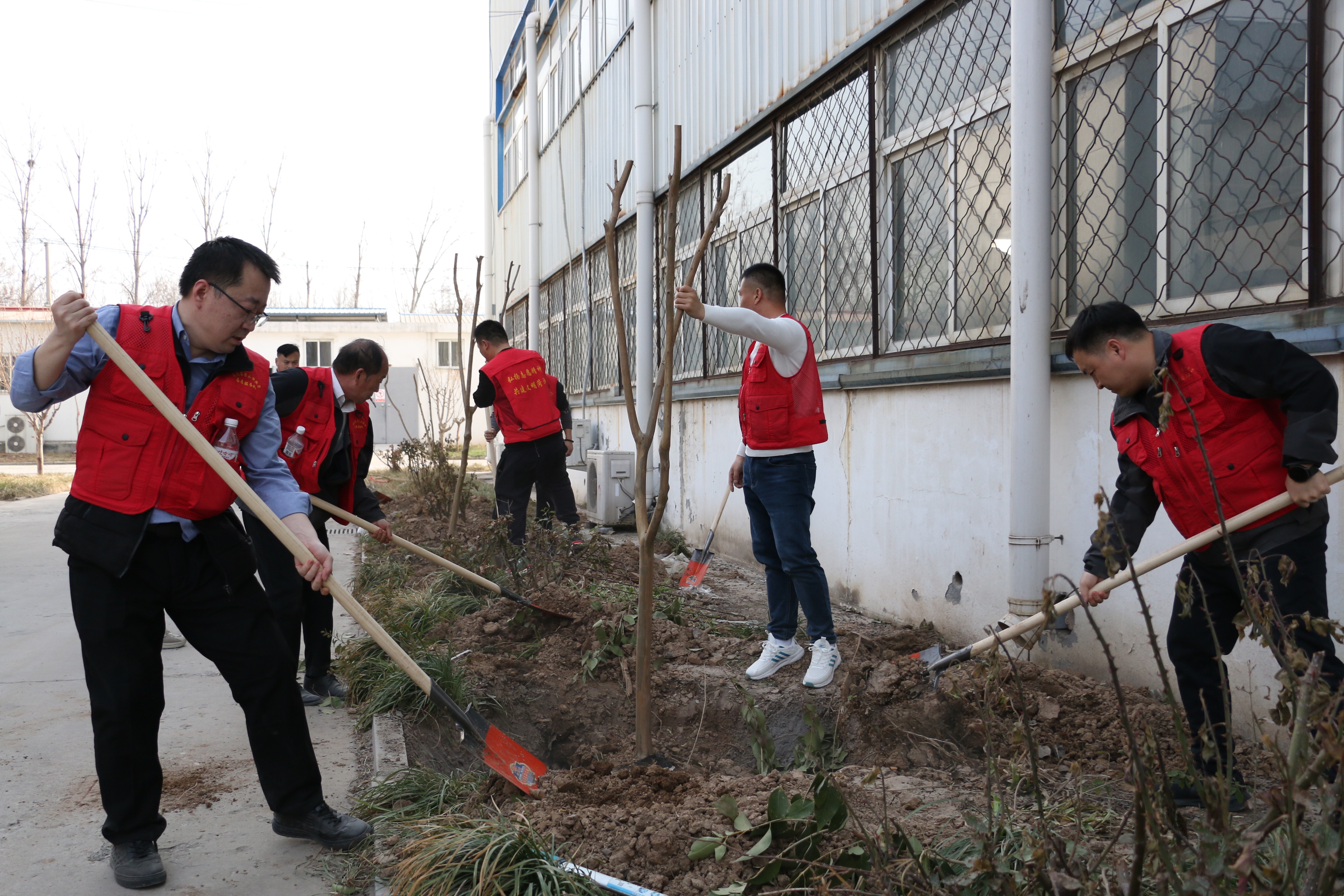 IMG_3727.JPG IMG_3727.JPG